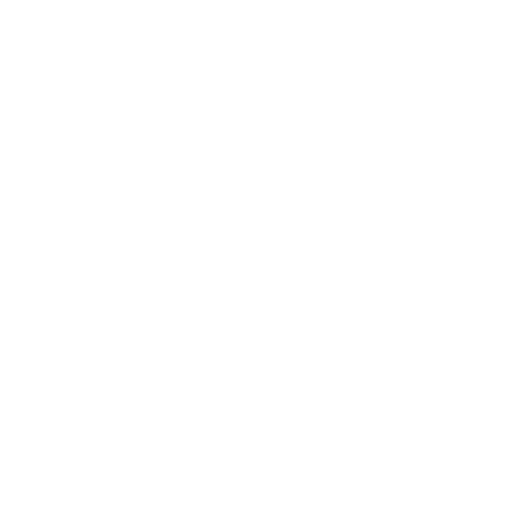The Boosters