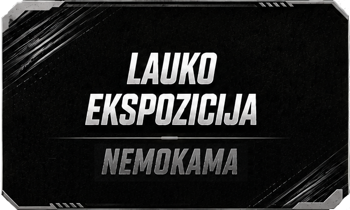Lauko automobilių ekspozicija